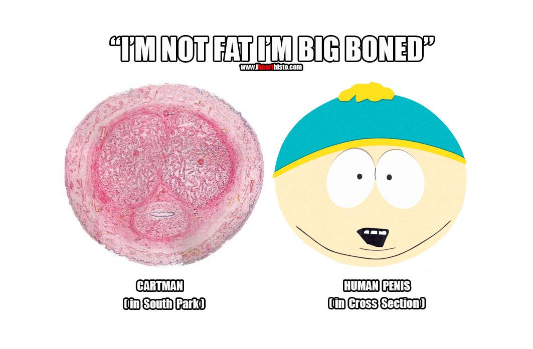 I M Not Fat I M Big Boned