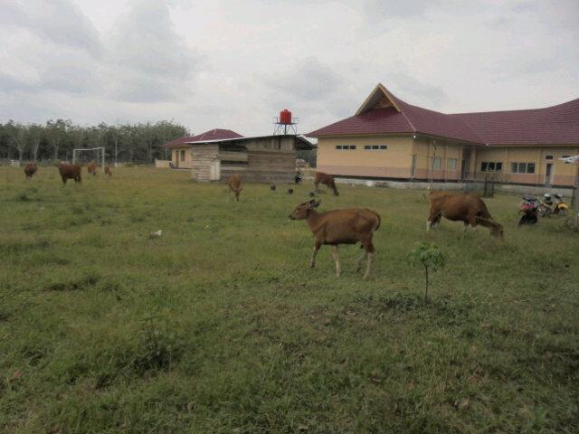 Hend_Datuk tweet picture