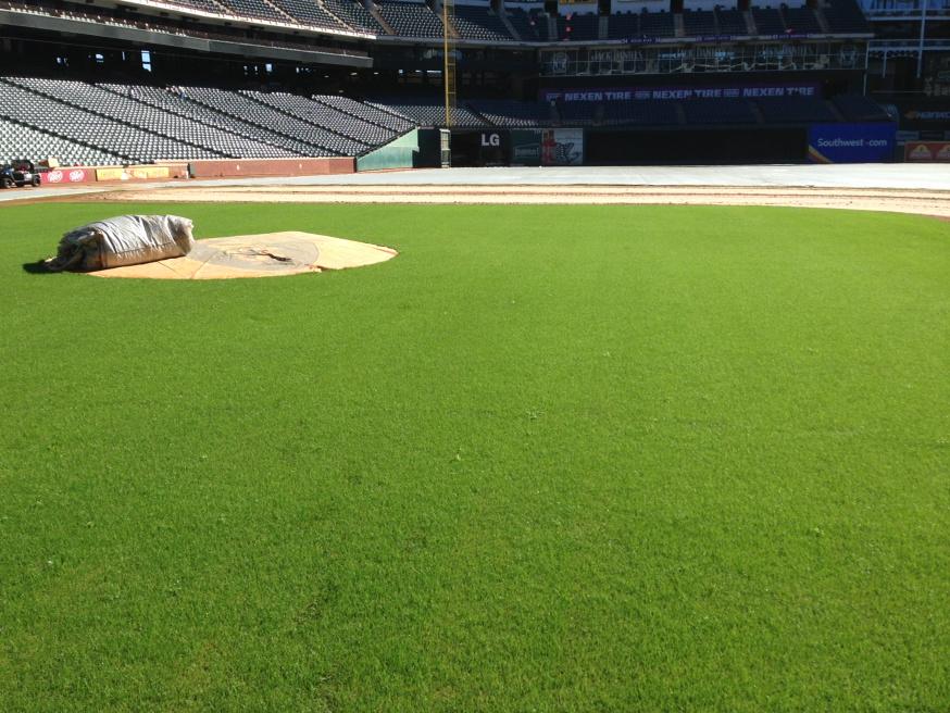 Texas24Nate's tweet photo. “@TXGroundsCrew: Ryegrass loves blankets. @Covermaster #BlanketsWork http://t.co/bHNmffrVdh”