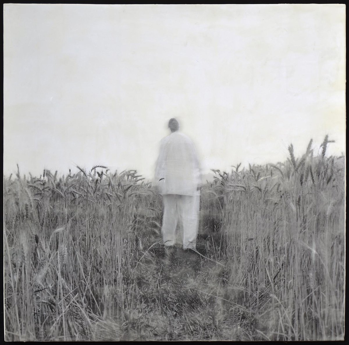 tobiamakover's tweet photo. Mother's Path is now a part of the permanent collection at the @OgdenMuseum of #southernart  #fineart #NewOrleans http://t.co/u2LNCyNmO3
