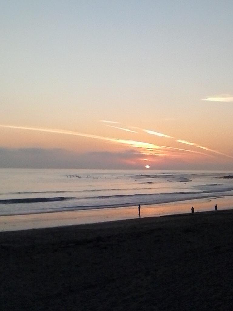 805danielboy's tweet image. 