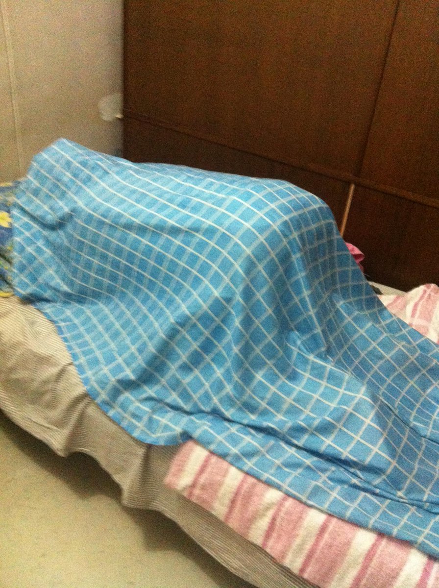 eggwardchuawee's tweet photo. OMG! what could daddy and daddy be doing? #maybejustplayingwrestling #nobigdeal http://t.co/RrBWqkcu9e
