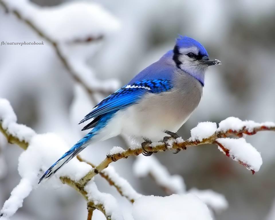 danchantall9's tweet photo. Nature http://t.co/kxpq08TLR7