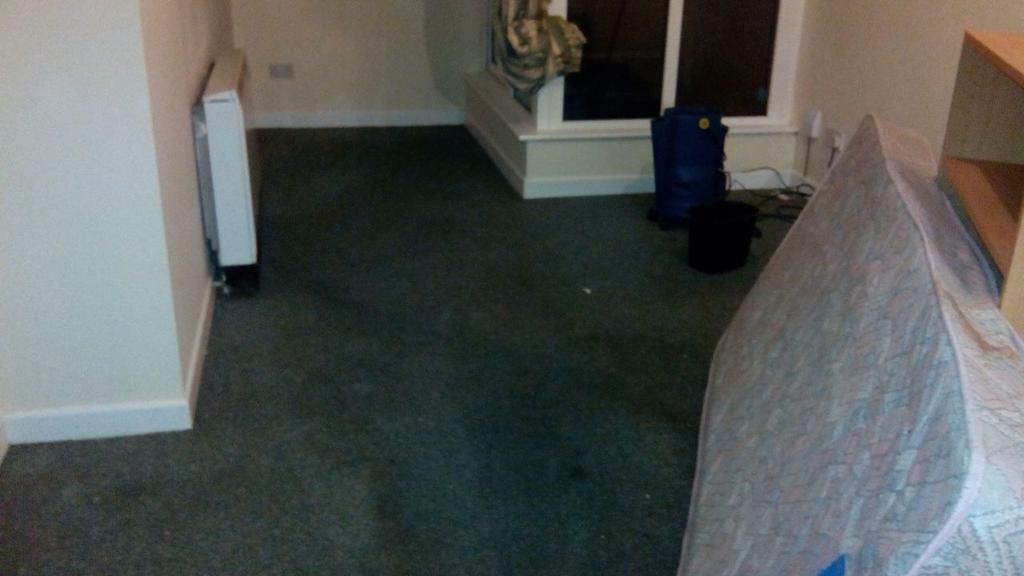 Property_clear's tweet image. Need your carpets cleaned. Give us a call 0852766329