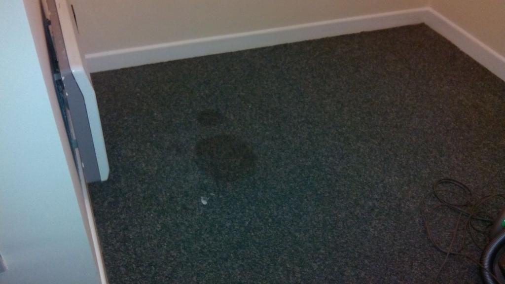 Property_clear's tweet image. Need your carpets cleaned. Give us a call 0852766329