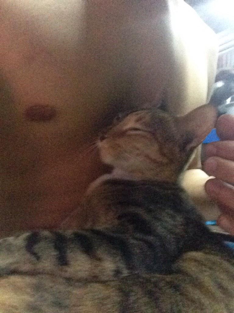 jaiDEE_92's tweet photo. แมวกุเอง สำราญป่ะล่ะมืง http://t.co/XgA4NItbL4