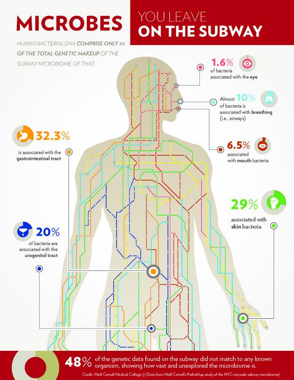 LiveSciHealth's tweet photo. The Microbes That Ride the NYC Subway with You http://t.co/TpEC23lOSx http://t.co/g6LF4hyWSc