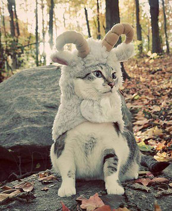 Caption this picture LOL