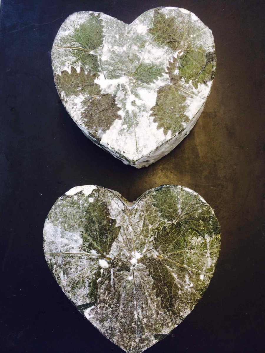 cheesemaking1's tweet photo. @cornishyarg you have a wonderful heart...
http://t.co/BXJME8fKIw http://t.co/r4R6E7Bt9L