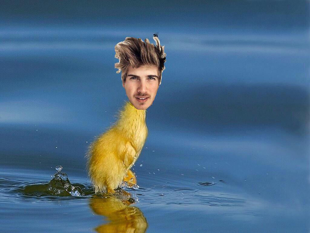SaveMeGraceffa tweet picture