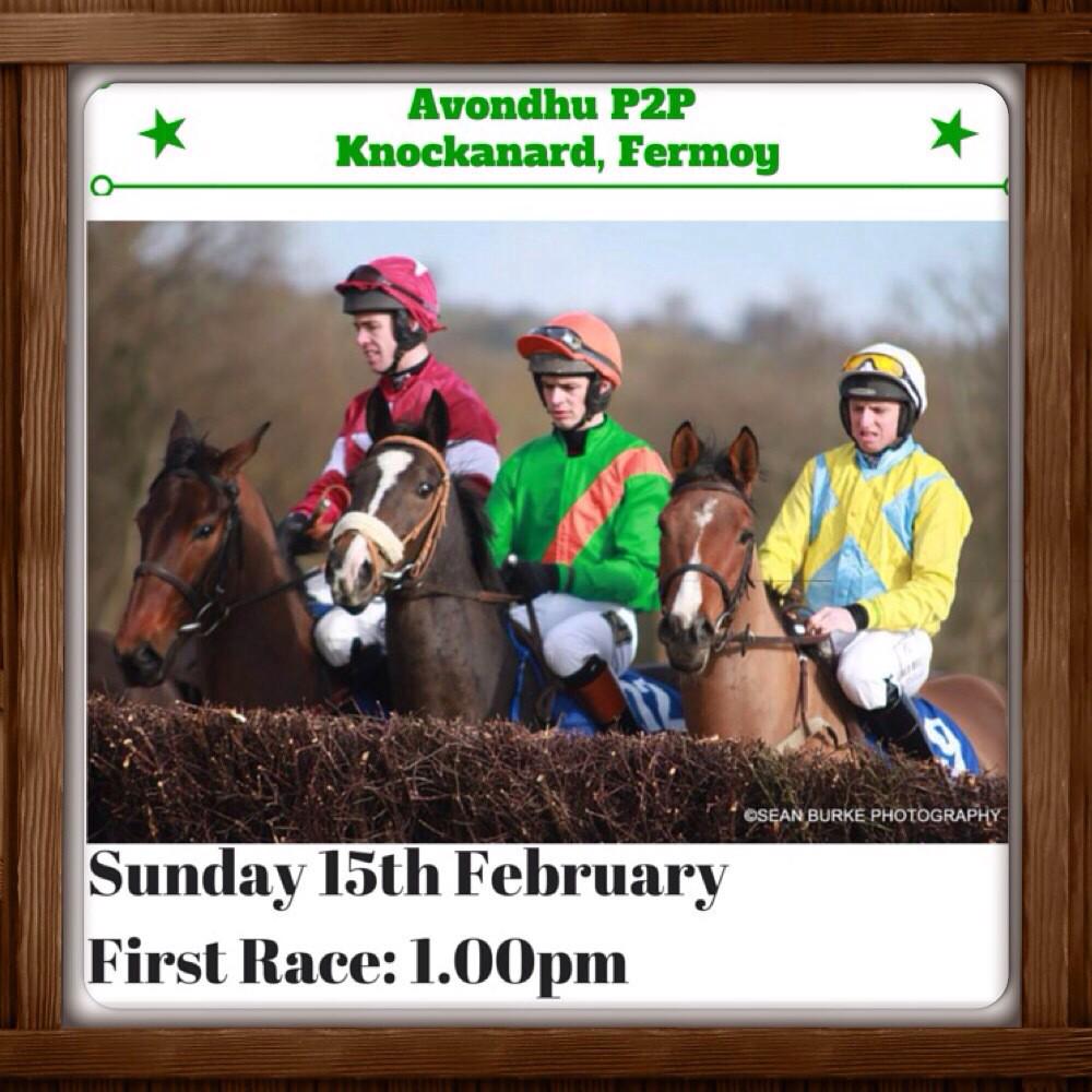 Avondhu Point to Point Knockanard, Fermoy Sun 15th Feb 1st Race 1pm  #irishp2p#greatdaysracing #grassroots#avondhup2p