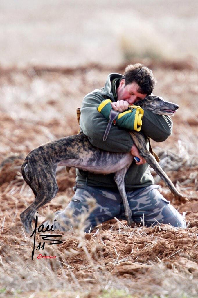 galgosdecasta's tweet photo. Perdon esto es maltrato alos animales?os hacen falta gafas señores animalistas!!a soñarrr buenas nochess http://t.co/OQeT1fQlpp