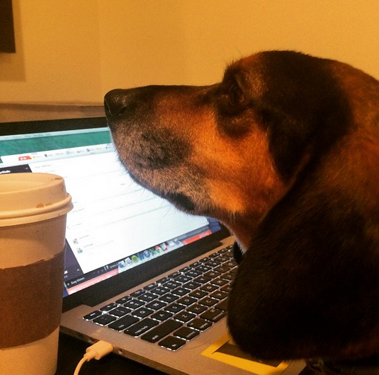 Alex Howard On Twitter Sarahkliff I Have A New Ghost Writer Here In Ma Can You Tell The Difference Http T Co Dletdmehrv