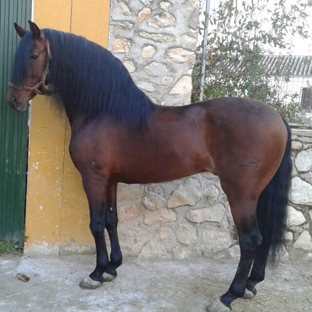 aamador489's tweet photo. Apesar de sus cosas la rasa lo mantiene http://t.co/OWSHIPV8JQ