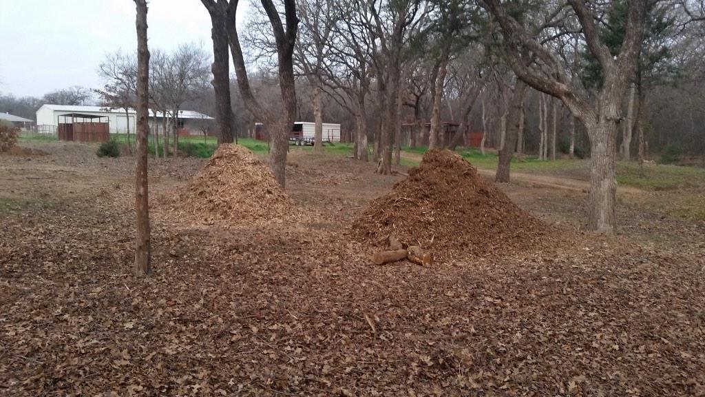 Spectra_PS's tweet image. Spectra hard at work clearing a lot!