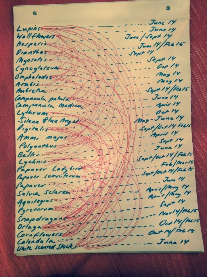 Spring/early summer possible combinations and seed sowing dates-perhaps too many!