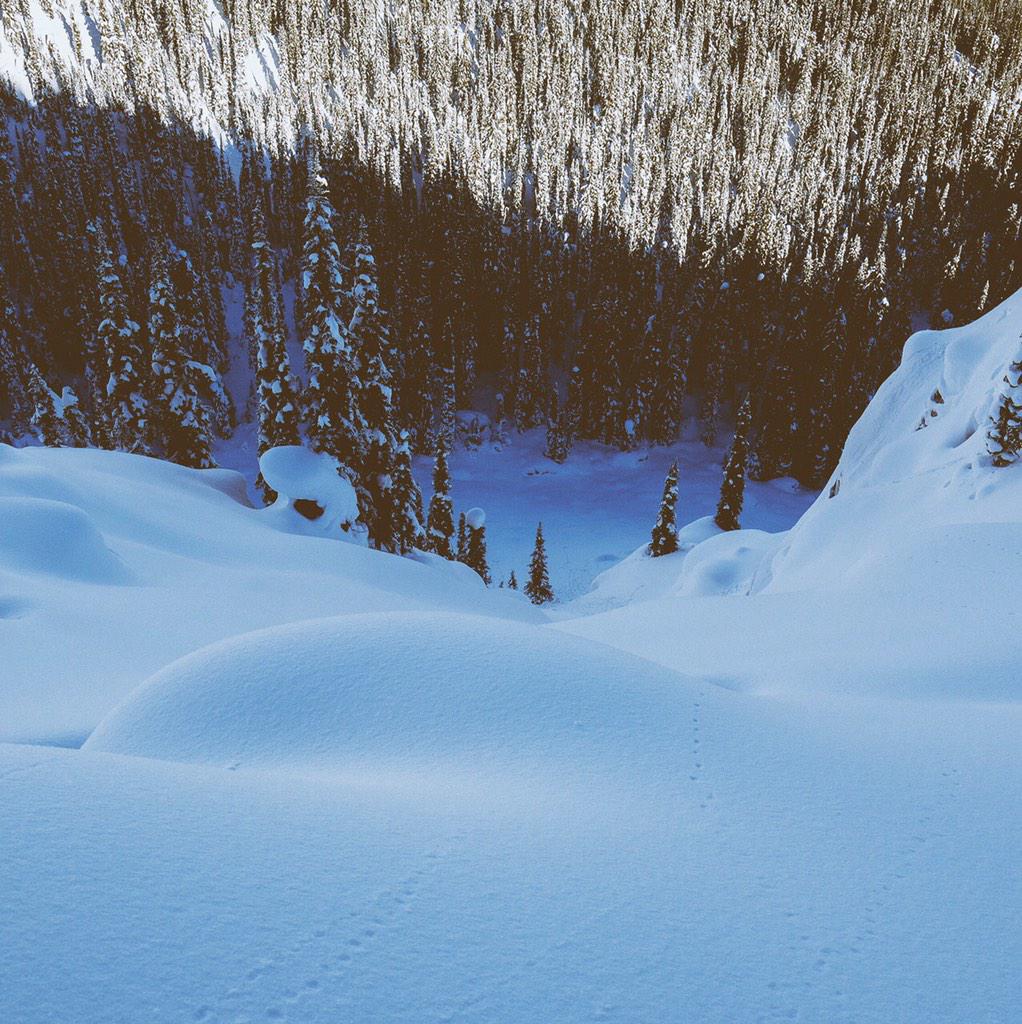 Burton Snowboards tweet media
