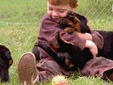 EMA2TRADE2's tweet image. Wrestlin' Rottweiler Pups | Too Cute vid.staged.com/VNyn #staged