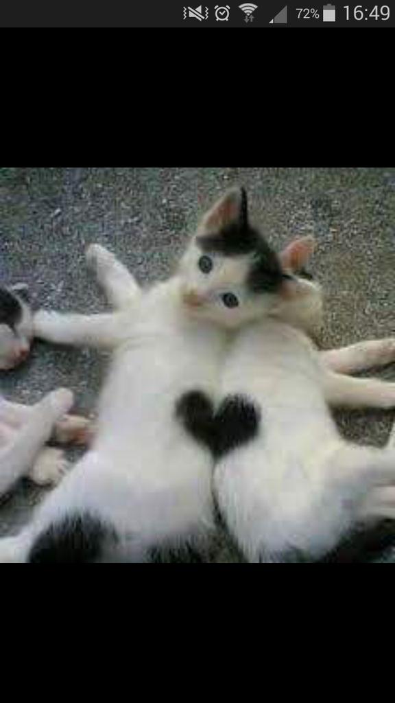 MMutluu29's tweet photo. http://t.co/cOkYeNlysj