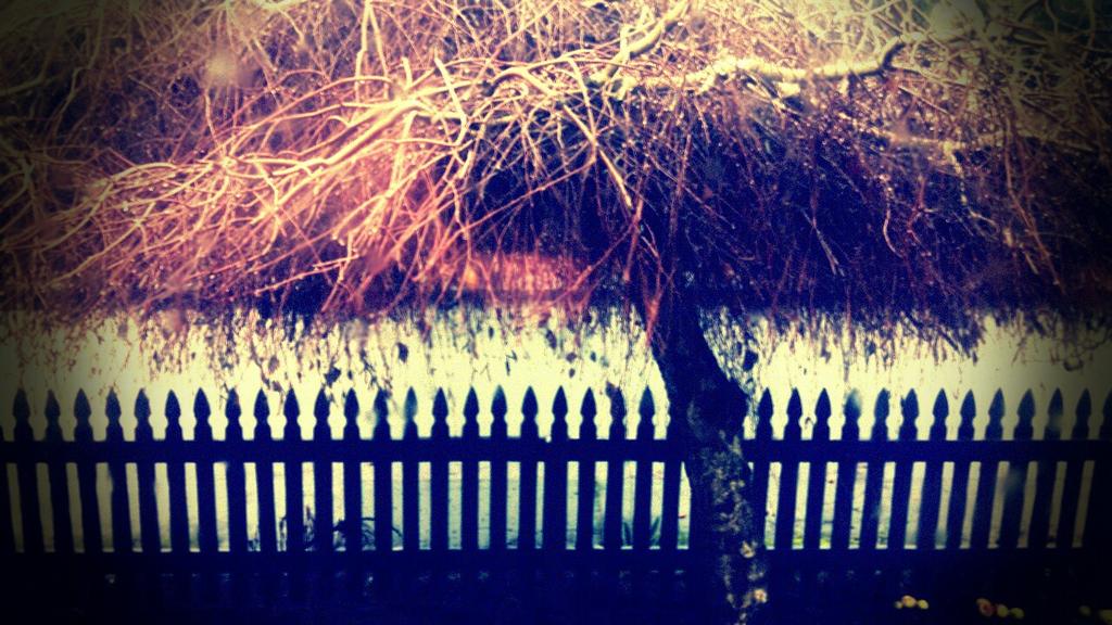 JQMschultz's tweet image. Nature: inspiring creativity since, the beginning.