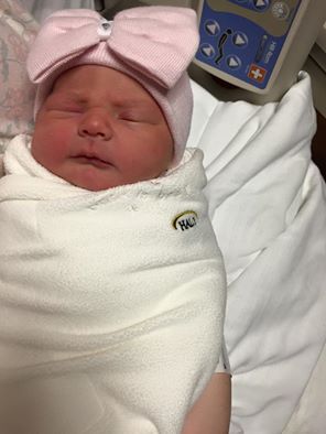 ArchibaldIns's tweet photo. Our Receptionist added this little bundle of joy to her family on January 30th.Layla was 7lbs 2 ounces.Welcome Layla! http://t.co/xfFQKUq8uZ