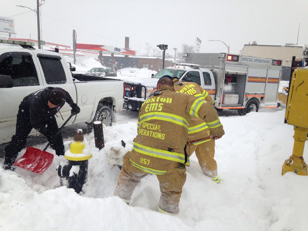 View image on Twitter