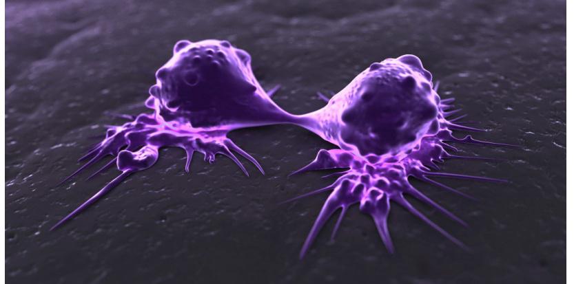 Sciences_Avenir's tweet photo. #Avancée - Cancer : une nouvelle molécule pour "affamer" les tumeurs >> http://t.co/IhwdGyIptl http://t.co/L5p78fKjZA