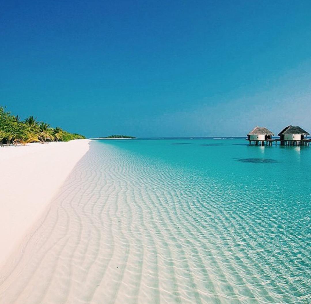 En las Islas Maldivas.