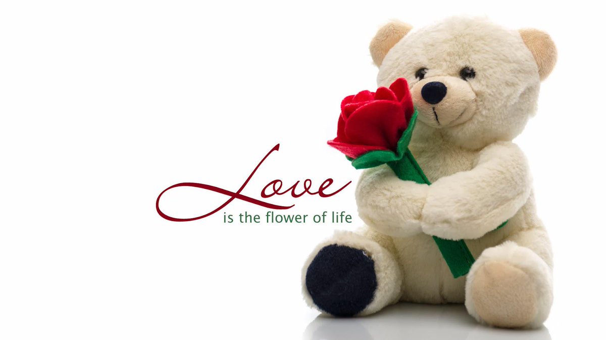 followJattsms's tweet photo. #teddybearday Happy Teddy Day to all of you. http://t.co/oYahwJTvQ2