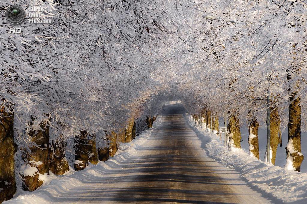 RT <a href="/xonjang/">Jang, Heung-Soo</a>: 잠간동안.. 벚꽃터널인줄.. ㅋ RT <a href="/A01664110/">Alberto Becerril</a>: