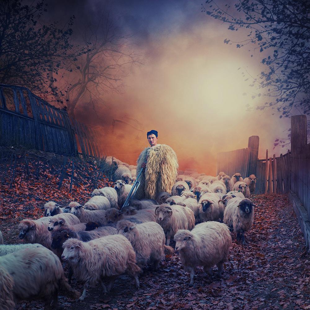 500px's tweet image. 32 Adorable, Awesome, and Epic Photos of Sheep to Count You Into the Chinese New Year goo.gl/EAGf6t