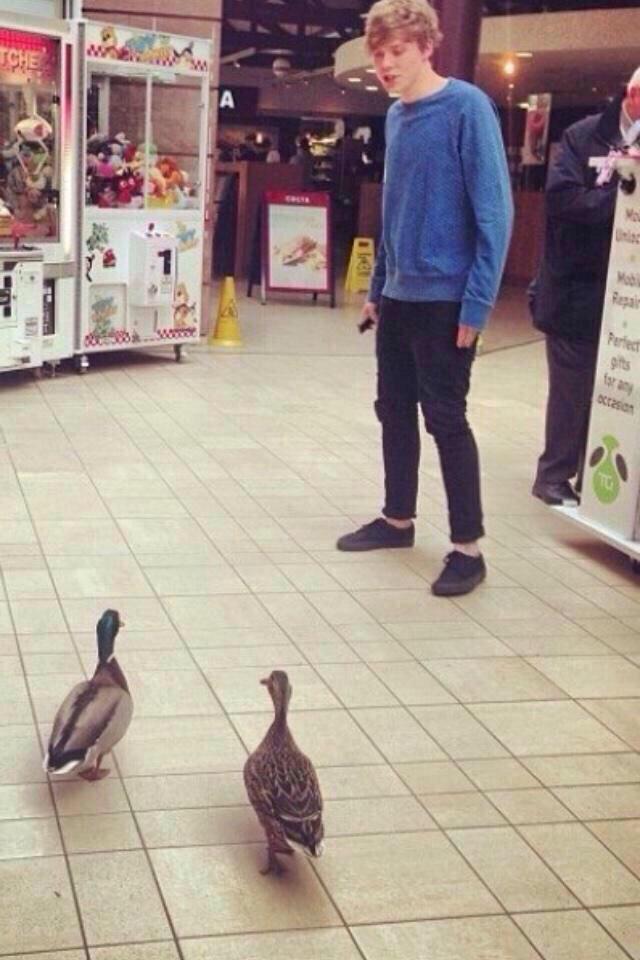 go away mr duckies >:(