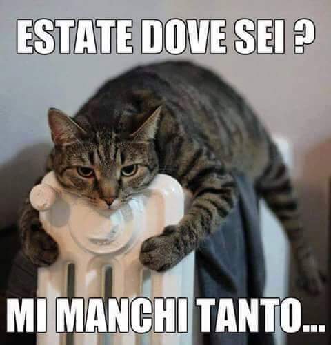 ClaudioDeglinn2's tweet photo. Fa troppo freddo..(non ti mollo..) #MovimentoDegliOnesti http://t.co/Ug4y9qgoup