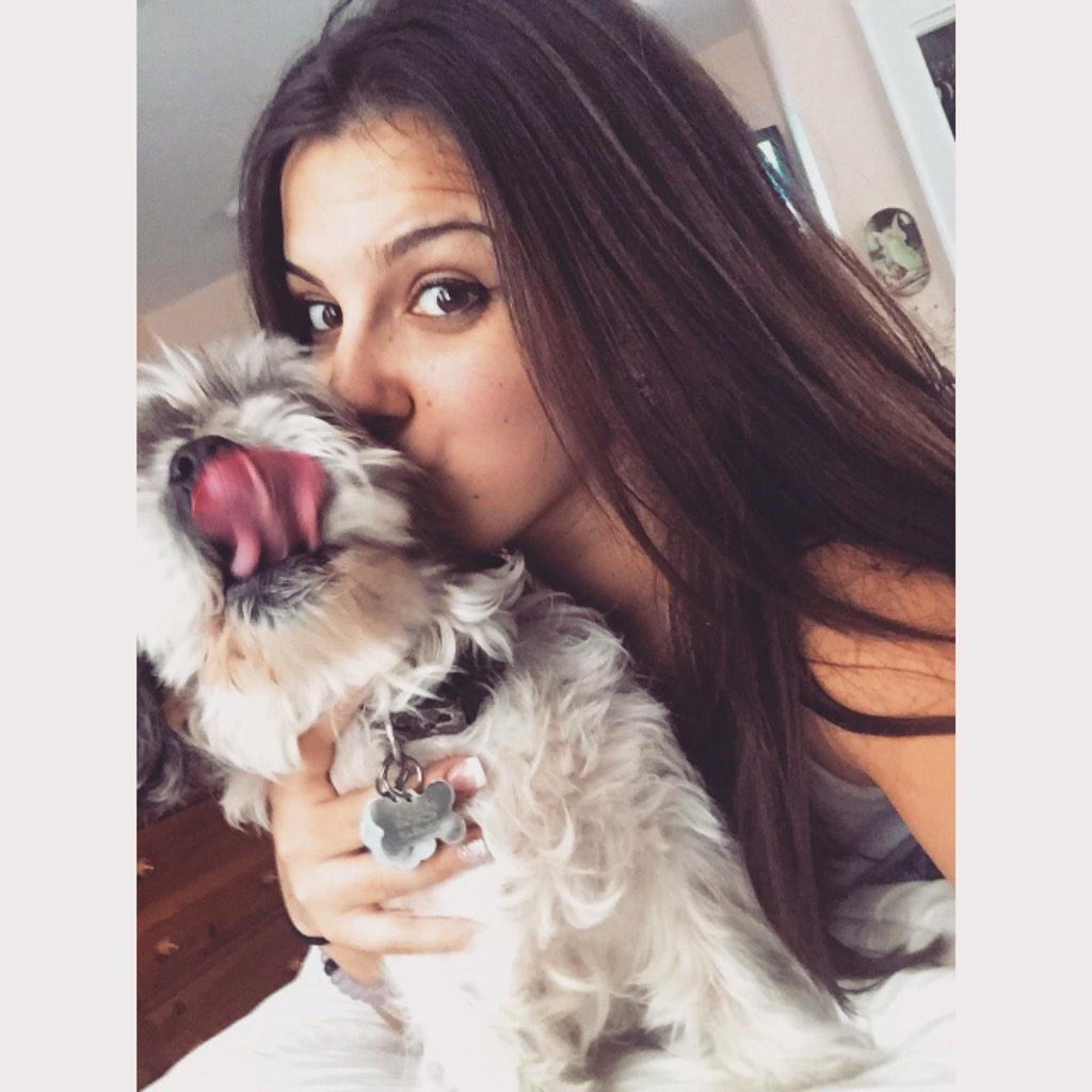 MissSutorius's tweet photo. he doesn't know how to give high fives, but how about a kiss from this cute pup #WalkMyWorld #EDU803 http://t.co/Zk4SGQXwAz