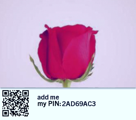 hanan_dl3's tweet photo. ضفوني بس من الامارات http://t.co/HfEZ9nNJV8