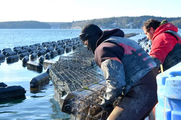 Maine’s making moves to combat #OceanAcidification &amp; save their $1 billion lobster industry bit.ly/1zDbQTo