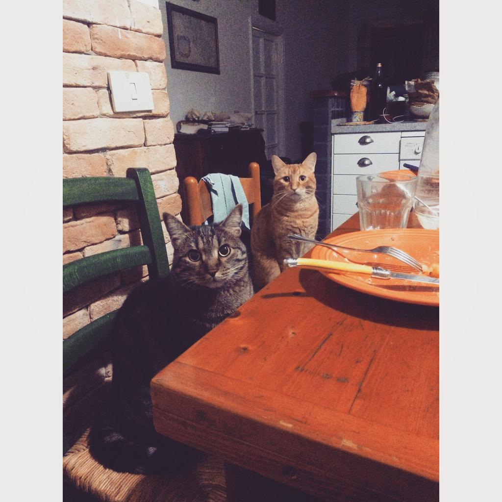 LiviaMichelleC's tweet photo. when someone watches you eat http://t.co/bviXQQl0Pd