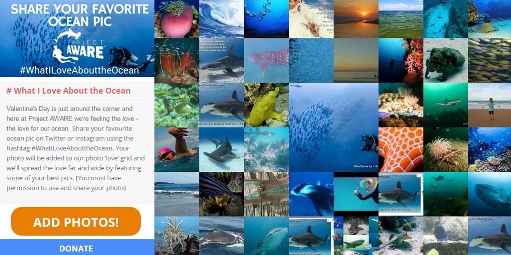 See what divers 💙 about the ocean - Check out the awe-inspiring #WhatILoveAbouttheOcean grid gridjungle.com/WhatILoveAbout…