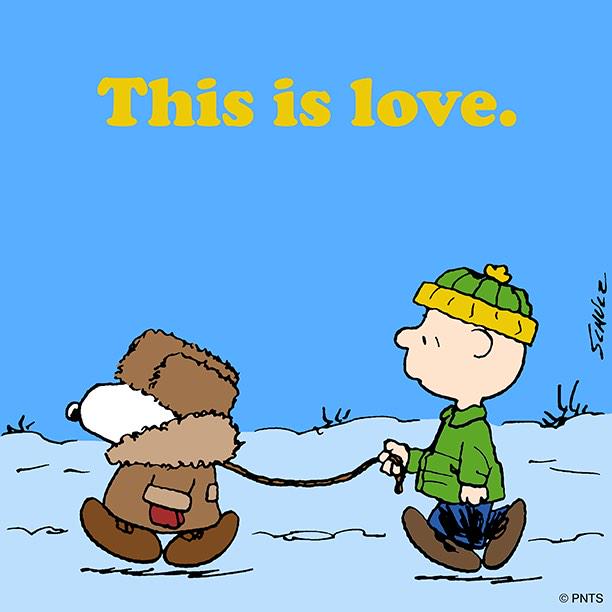 Snoopy's tweet photo. Love is walking the dog. ❤️ http://t.co/j3h4e8HmtV