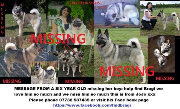 RT <a href="/HelpBragi/">Help FIND BRAGI</a>: Please help retweet,Brag is still missing and his family miss him dearly!A 6 year olds heartfelt plea