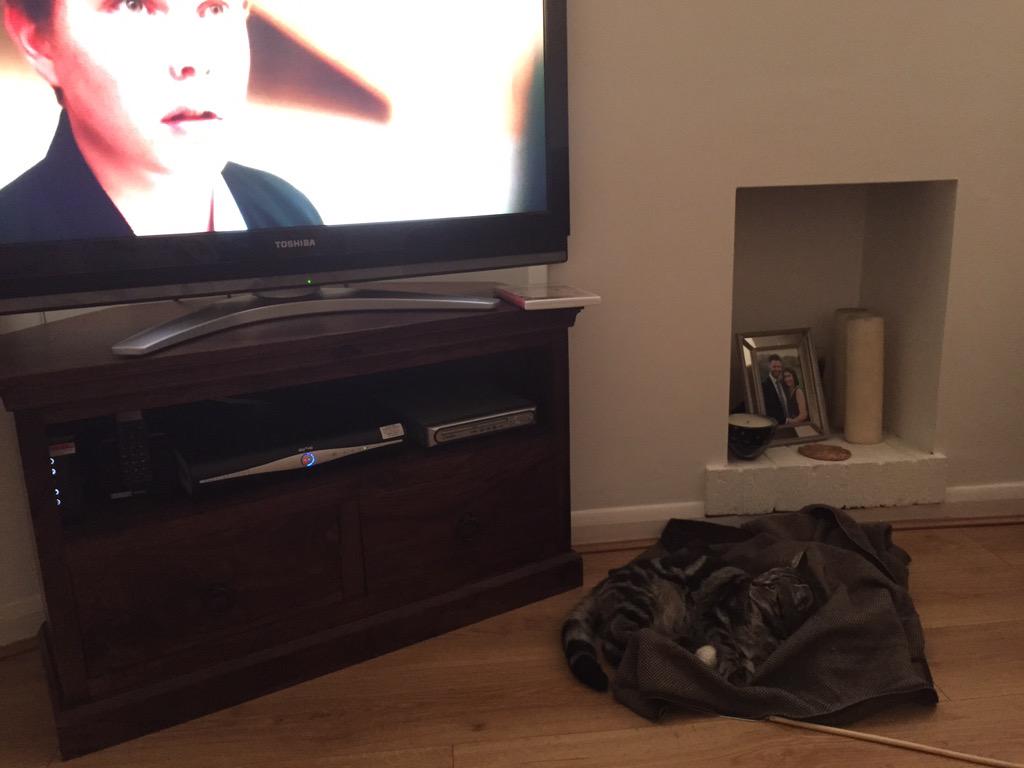 tom_ryder's tweet photo. @Michael_Wardy are you watching broadchurch? Bella is http://t.co/KHGX6OuSZ2