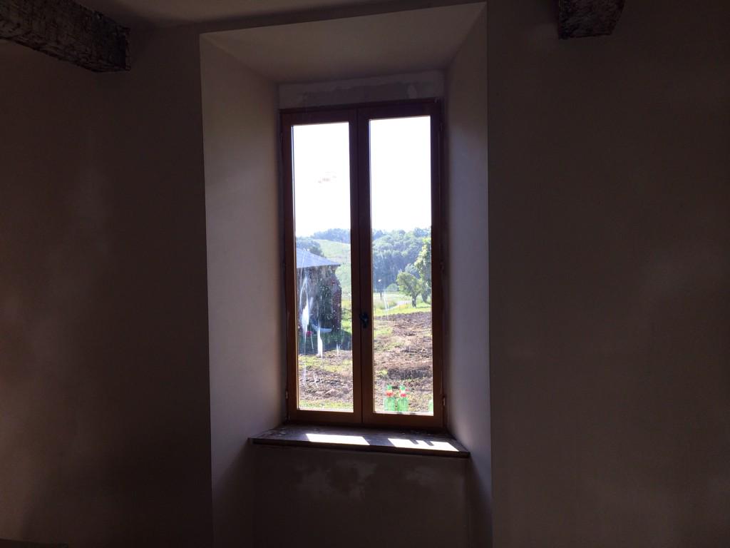 allplaster tweet picture