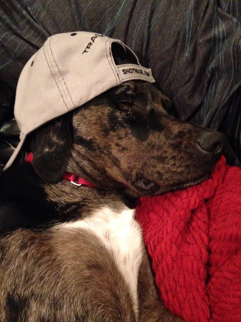 Top_Notch_Mitch's tweet photo. @trackingpoint someone stole my hat! http://t.co/rU6zaa0hm4