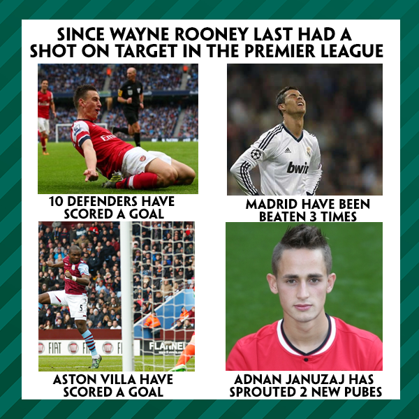 paddypower tweet picture
