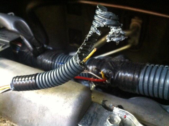 KRISTAlmeth__'s tweet photo. Really can't grasp the fact that rodents chewed at my engine 😑 #JustMyLuck http://t.co/1maSBC69uJ