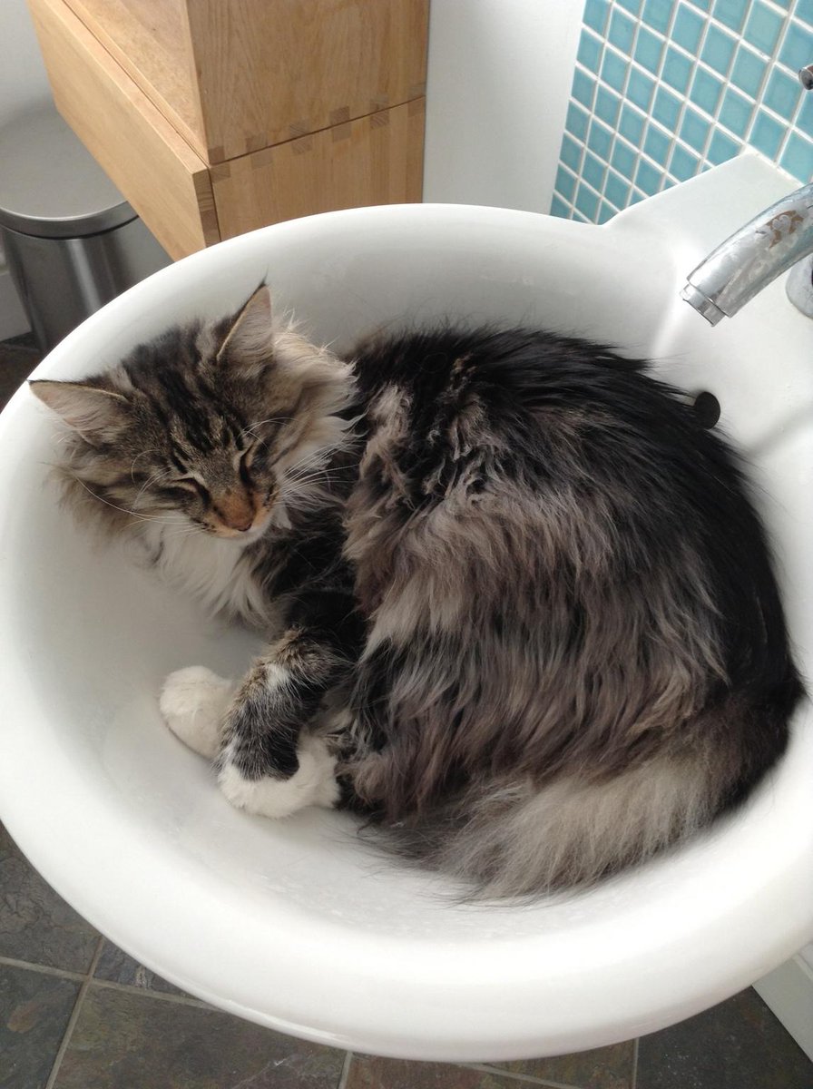 Claire Dunn tweet media