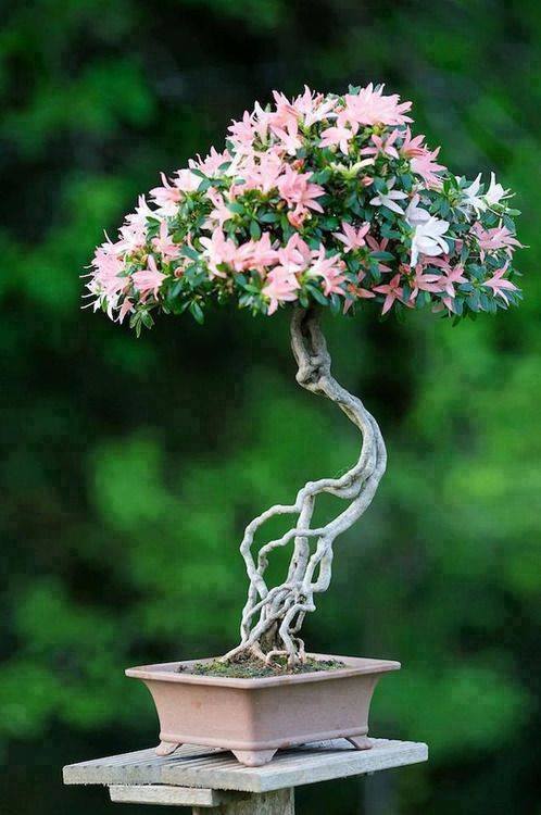 omifren's tweet image. #GodIsSpeaking! #AreWeListening?