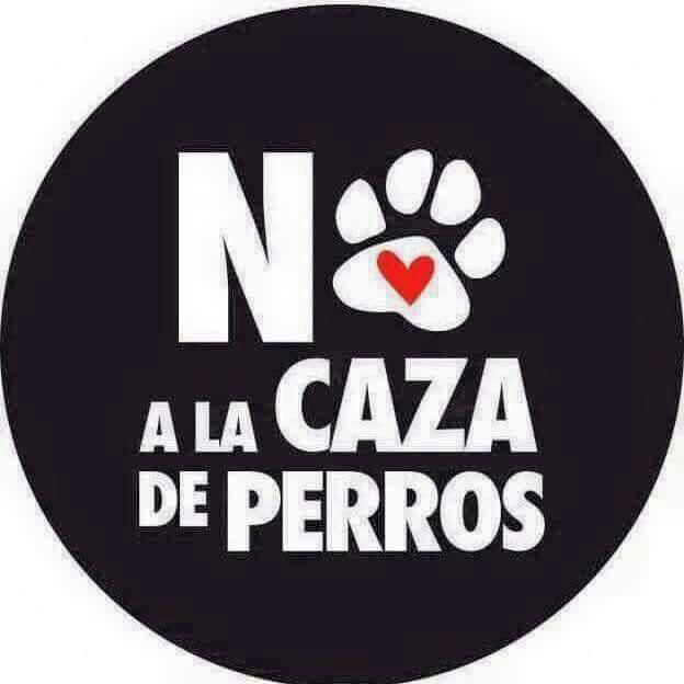 Ma_jose_fa's tweet photo. #NoALaCasaDePerrosEnChile #NoALaCazaDePerrosEnChile http://t.co/UcyJsoqxXO