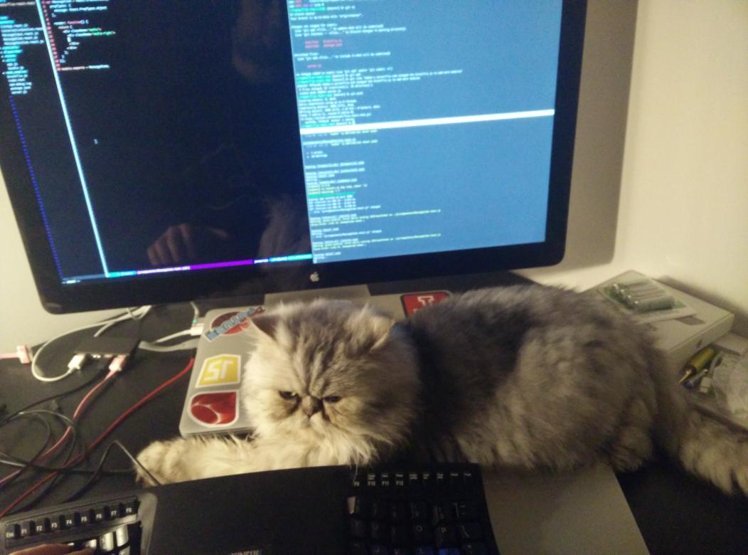 xescugc's tweet image. #PairPrograming with my #cat ... At last he is not moving around.