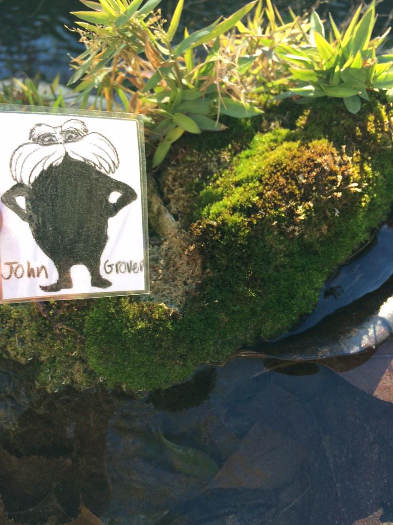 johngroverapes's tweet image. Algae, a native species grows near a natural spring #topic7 #flatlorax #2ndperiod #hphsapes2015